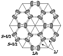 magnetic structure of m-MPYNN salt