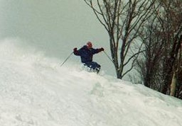 skiing Y.F.2